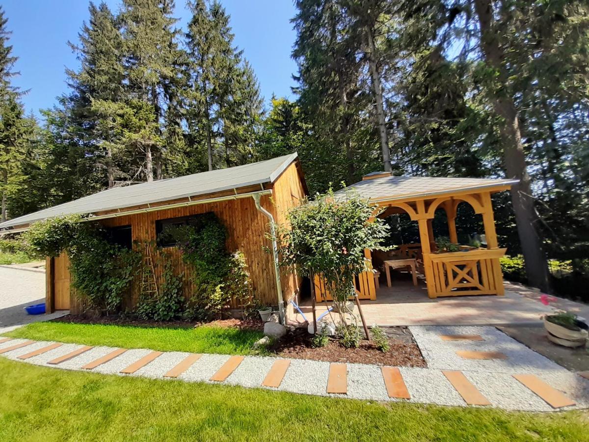 Apartamenty przy Świerku Szklarska Poręba Zewnętrze zdjęcie