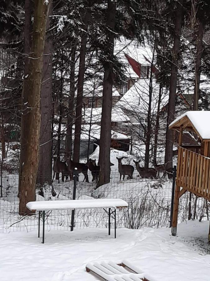 Apartamenty przy Świerku Szklarska Poręba Zewnętrze zdjęcie